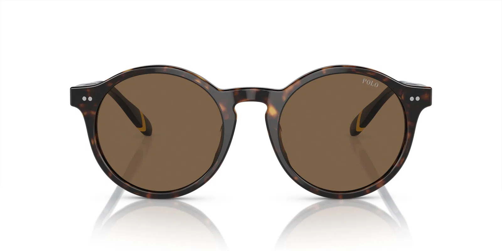 Polo 4204U Sunglasses - view 16